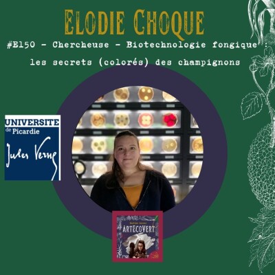 Elodie Choque - Biotechnologie fongique : les secrets (colorés) des champignons cover