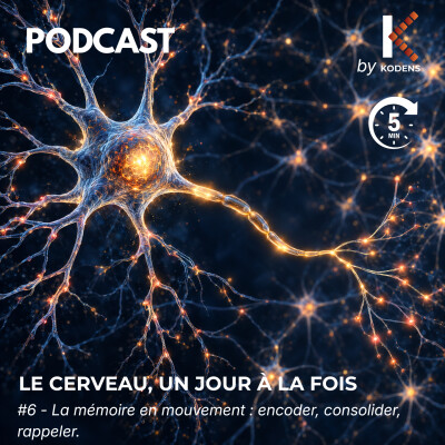 Episode #6 - La mémoire en mouvement cover