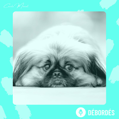 15. Contrer le blues du dimanche soir | Question #59 cover