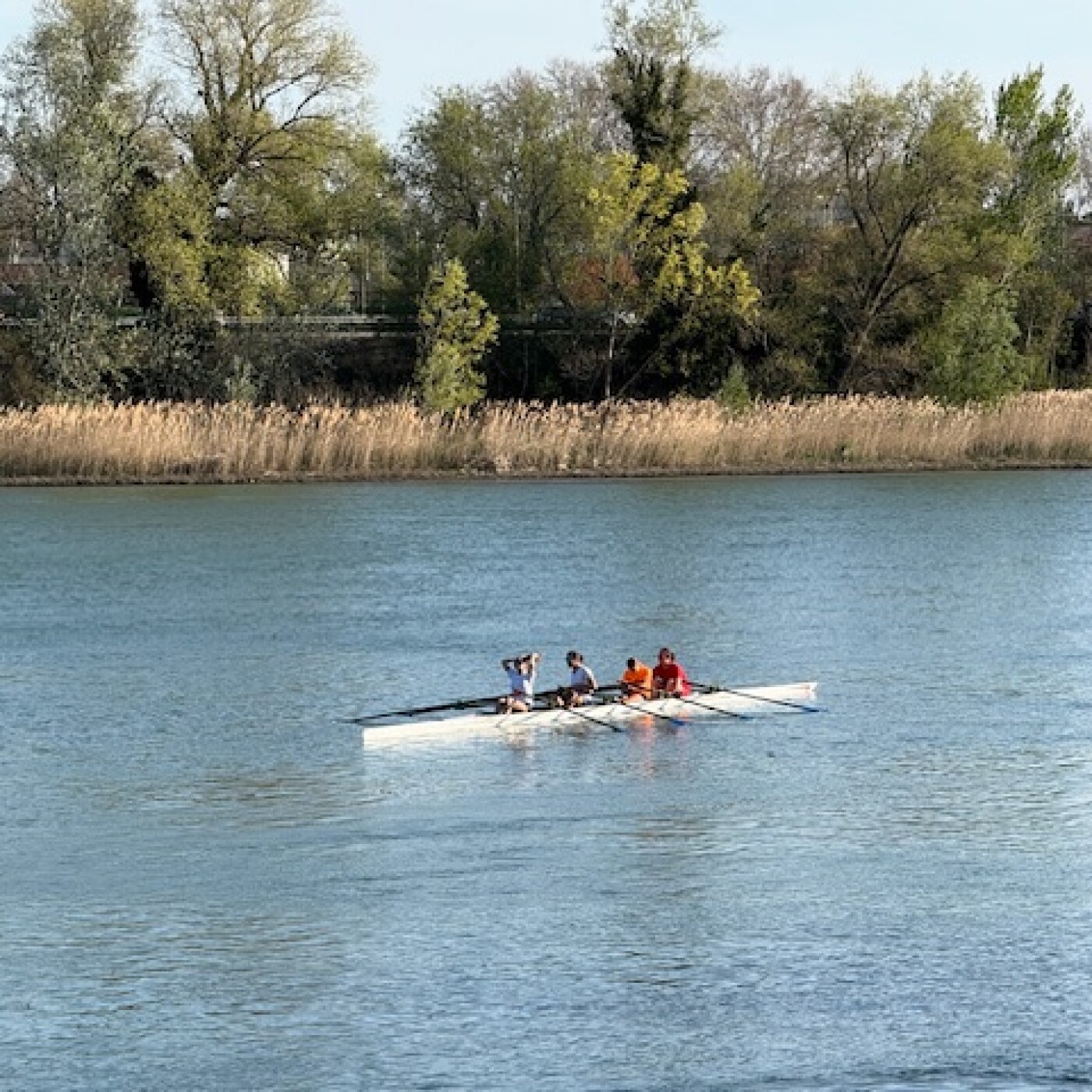 Les pirates du Rhône