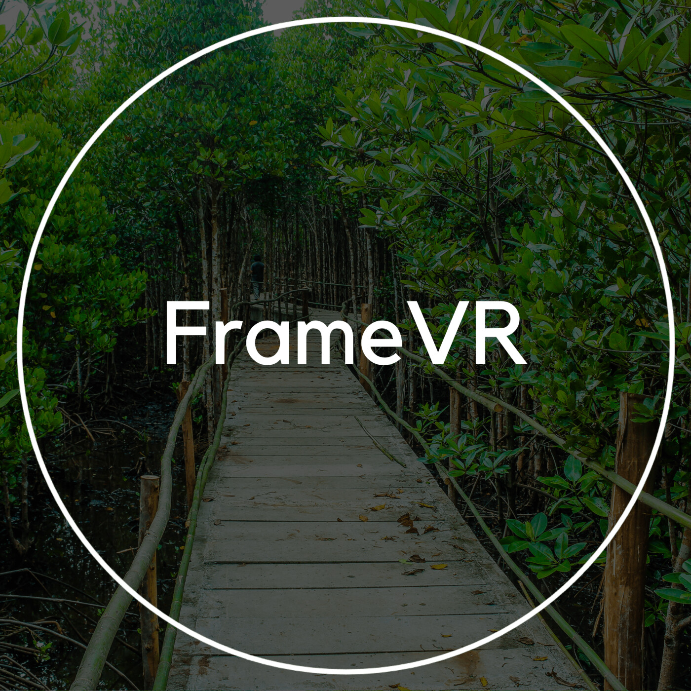 Frame VR