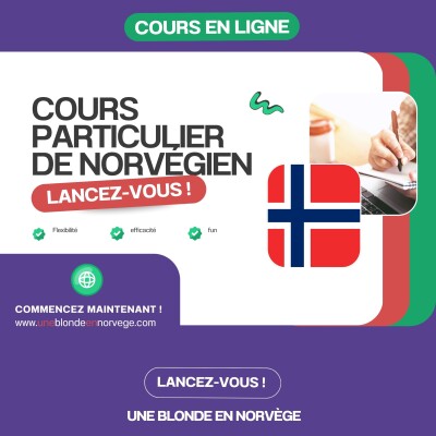 195 - Cours particuliers de norvégien cover
