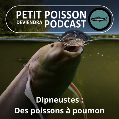 S01E11 Dipneustes : Des poissons à plein poumon ! cover