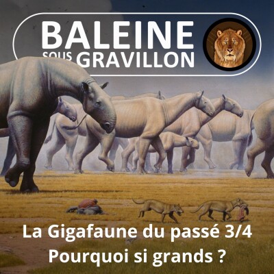 BEST OF D'ÉTÉ #27 La gigafaune du passé 3/4 : Pourquoi si grands ? cover