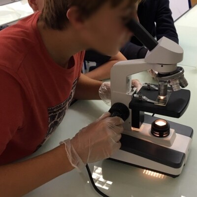 Forcioli Conti: une interview du chercheur Mathieu Paoli  31/03 cover