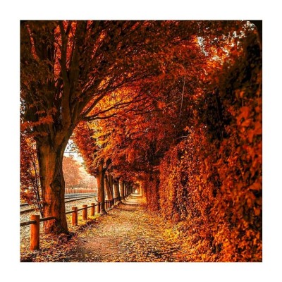 La France a peur cover