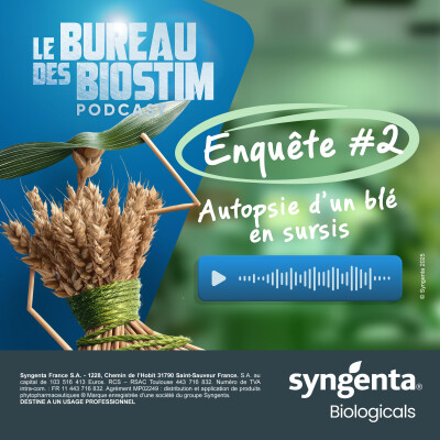 Episode 2 : Autopsie d’un blé en sursis cover