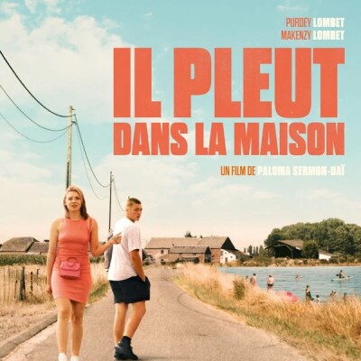 Il pleut dans la maison cover