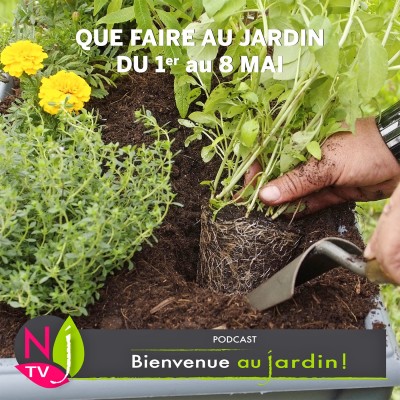 QUE FAIRE AU JARDIN DU 1er AU 8 MAI ? cover