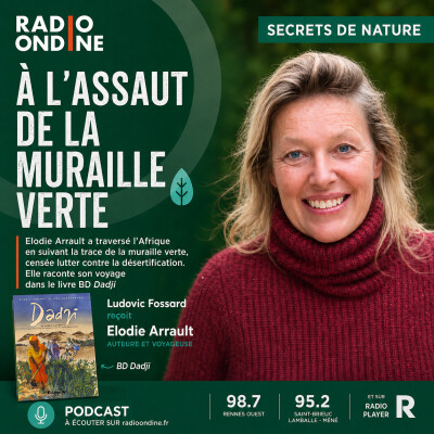 Rencontre avec Elodie Arrault - Dadji cover