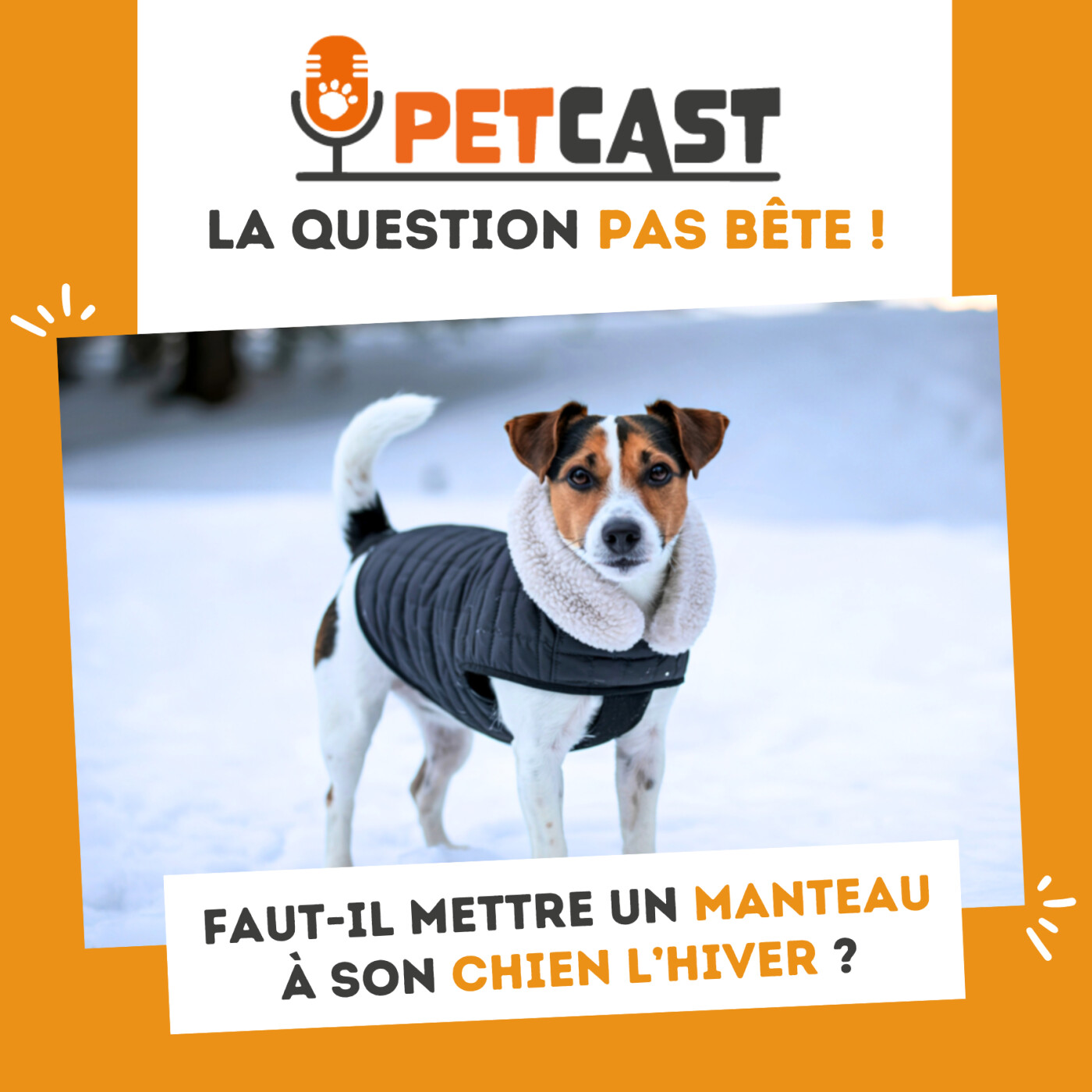 Faut-il mettre un manteau Ă son chien lâhiver ? Faut-il mettre un manteau Ă son chien lâhiver ?