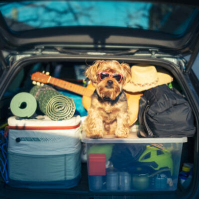 Répartissez la charge et économisez du carburant ! cover