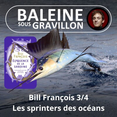 S03E12 L'éloquence de la Sardine 3/4 : Les plus rapides des océans (Bill François) cover