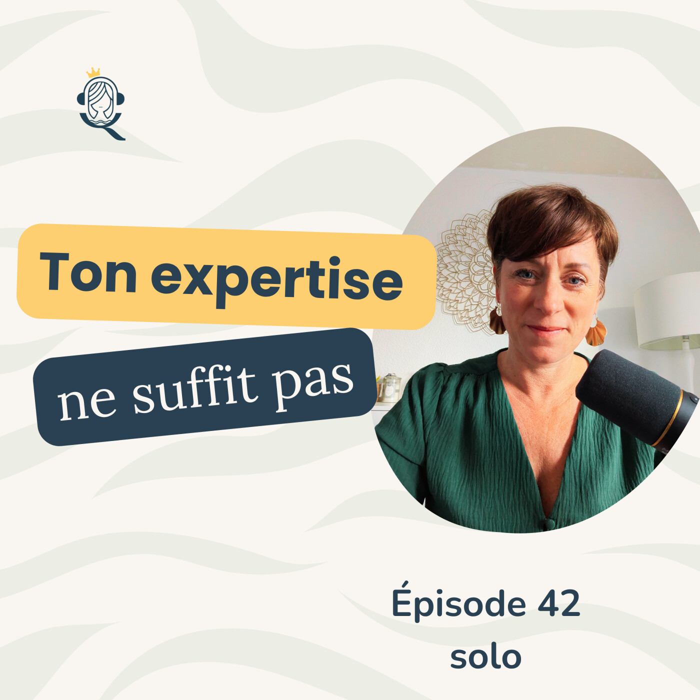 La raison pour laquelle ton expertise ne suffit plus ! episode artwork