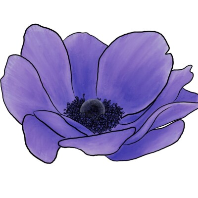 Veuves le podcast - Laëtitia cover