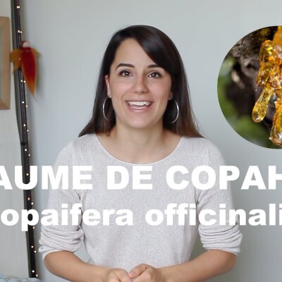 L'huile essentielle de Baume de Copahu - Copaifera officinalis (et olfaction cover