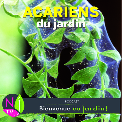 PAROLES D'EXPERTS : LES ACARIENS DU JARDIN cover
