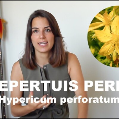 L'huile essentielle de Millepertuis - Hypericum perforatum : coup de pied lumineux ! cover