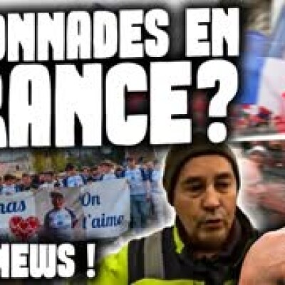 DES RATONNADES en FRANCE ? (et CONOR MCGREGOR dit les TERMES) cover