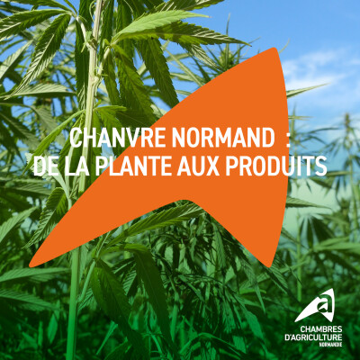 Chanvre Normand  : de la plante aux produits [Chambres d'agriculture de Normandie] cover