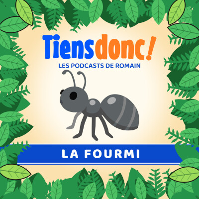 La ville secrète des fourmis cover