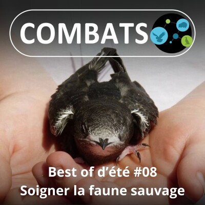 BEST OF D'ÉTÉ #08 : Soigner la faune sauvage 8/13 cover