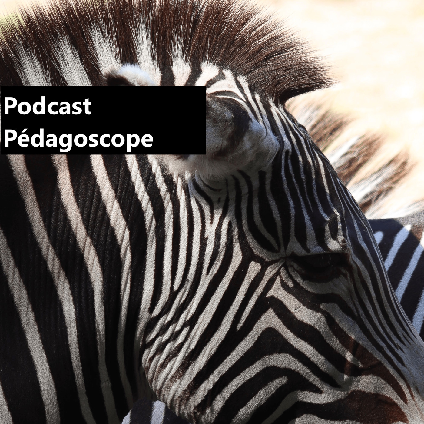 Pedagoscope.ch