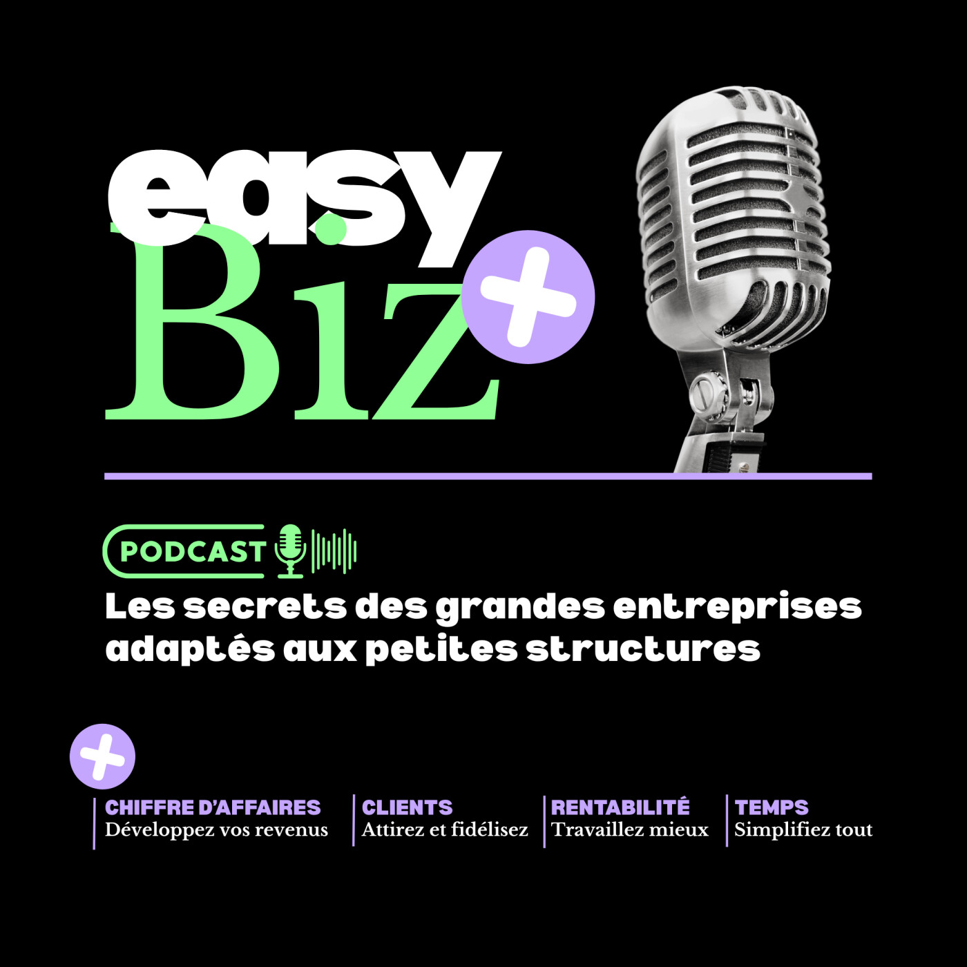 Illustration du podcast Easy Biz !