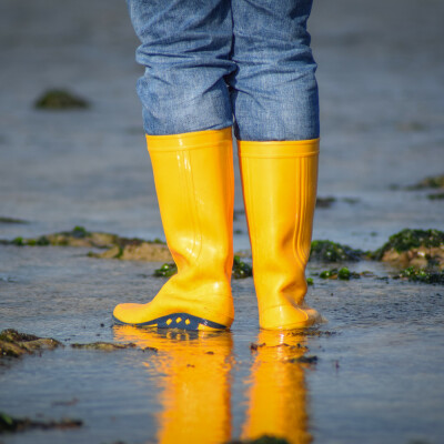 Enfilez vos bottes ! cover