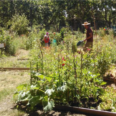 La place des séniors ? cover