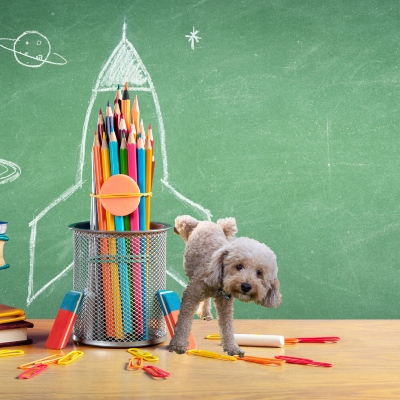 Les Secrets du Trottoir | Histoire sur la Peur des Chiens et l'Amitié