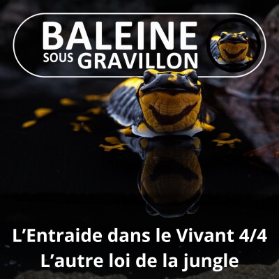 S04E71 L'Entraide dans le Vivant 4/4 : L'autre loi de la jungle... la plus importante ! (Julien Perrot, Revue Salamandre) cover