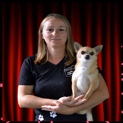 Le Micro des Artisans Épisode 19 : Chloe Verschueren. Dresseuse de chien pour le cinéma. cover