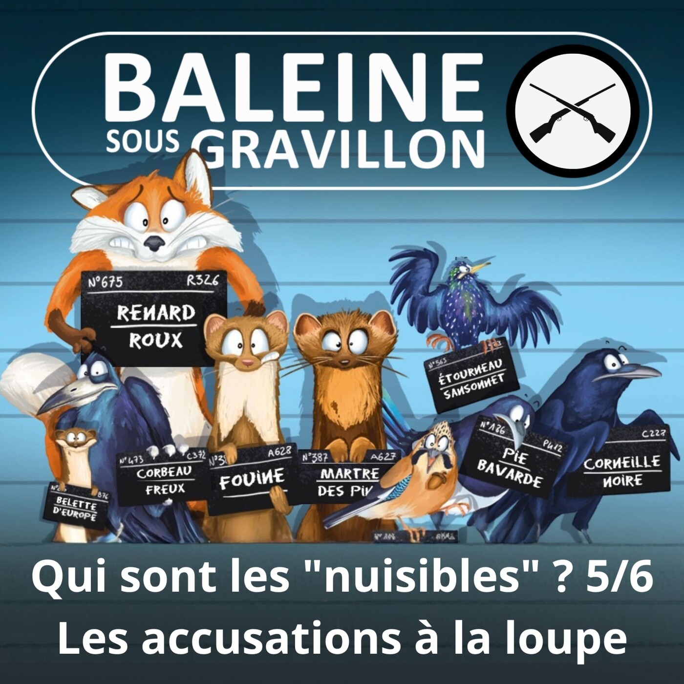 SPÉCIAL "Nuisibles" 5/6 : Belette, fouine, pie, geai, étourneau (Frédéric Jiguet)
