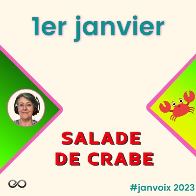 La nouvelle année - E 10 -  #Janvoix2023 cover