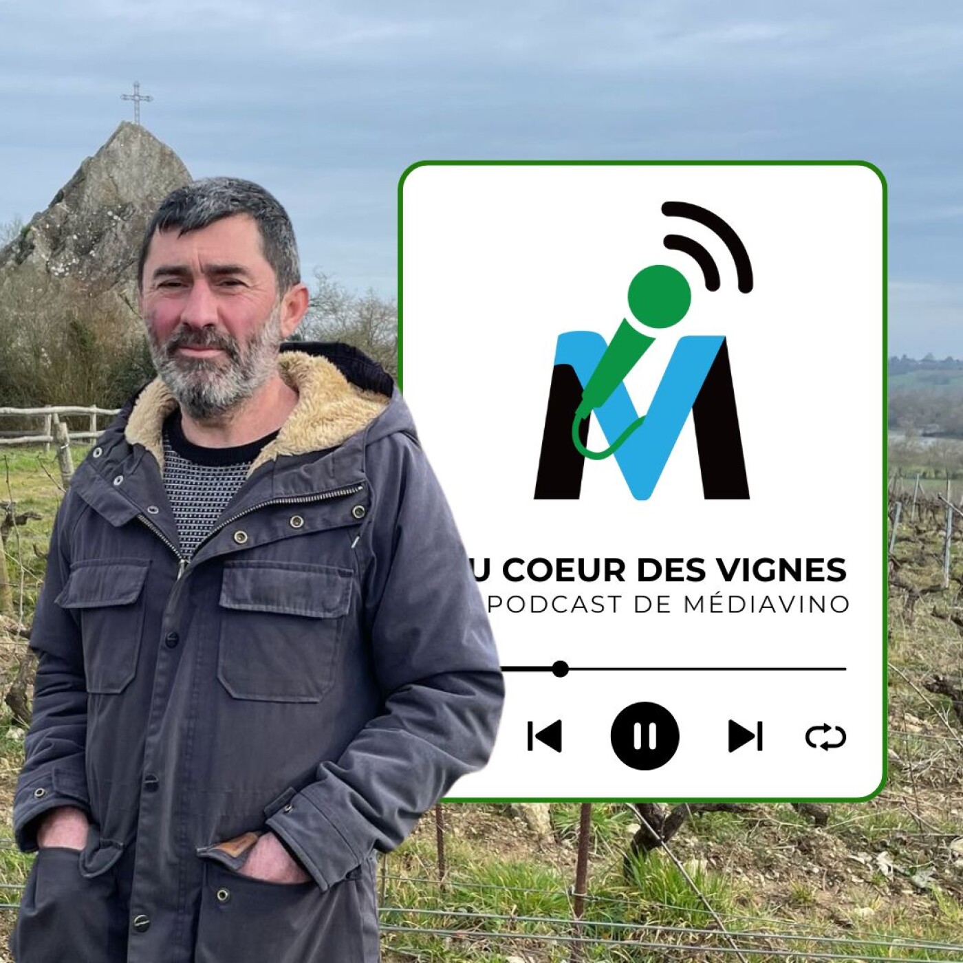 Coteaux d'Ancenis I Domaine Les Pierres Meslières I Frédéric Monnier, entre menhirs et vignes (extrait)