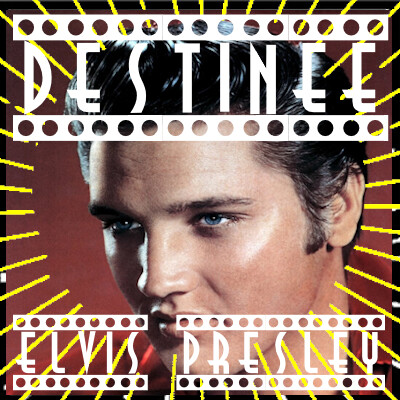 Destinée épi 8  Elvis Presley le petit gars de Tupelo devenu le King du Rock and Roll par Bruno Rostan cover