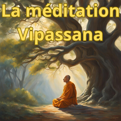 Feu intérieur - Capsule 007 - Méditation Vipassana cover