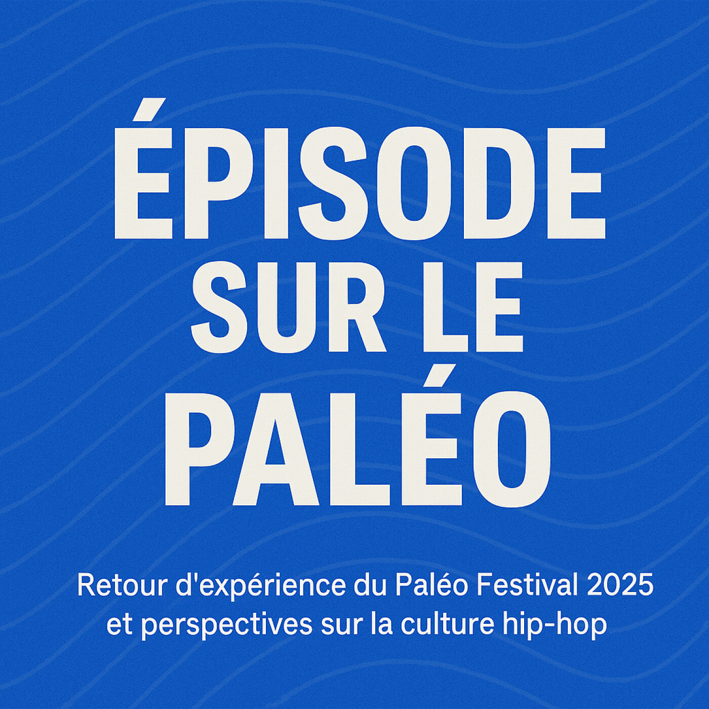 Festival Vibes : mon expérience au Paléo + classement des meilleurs festivals hip-hop episode artwork