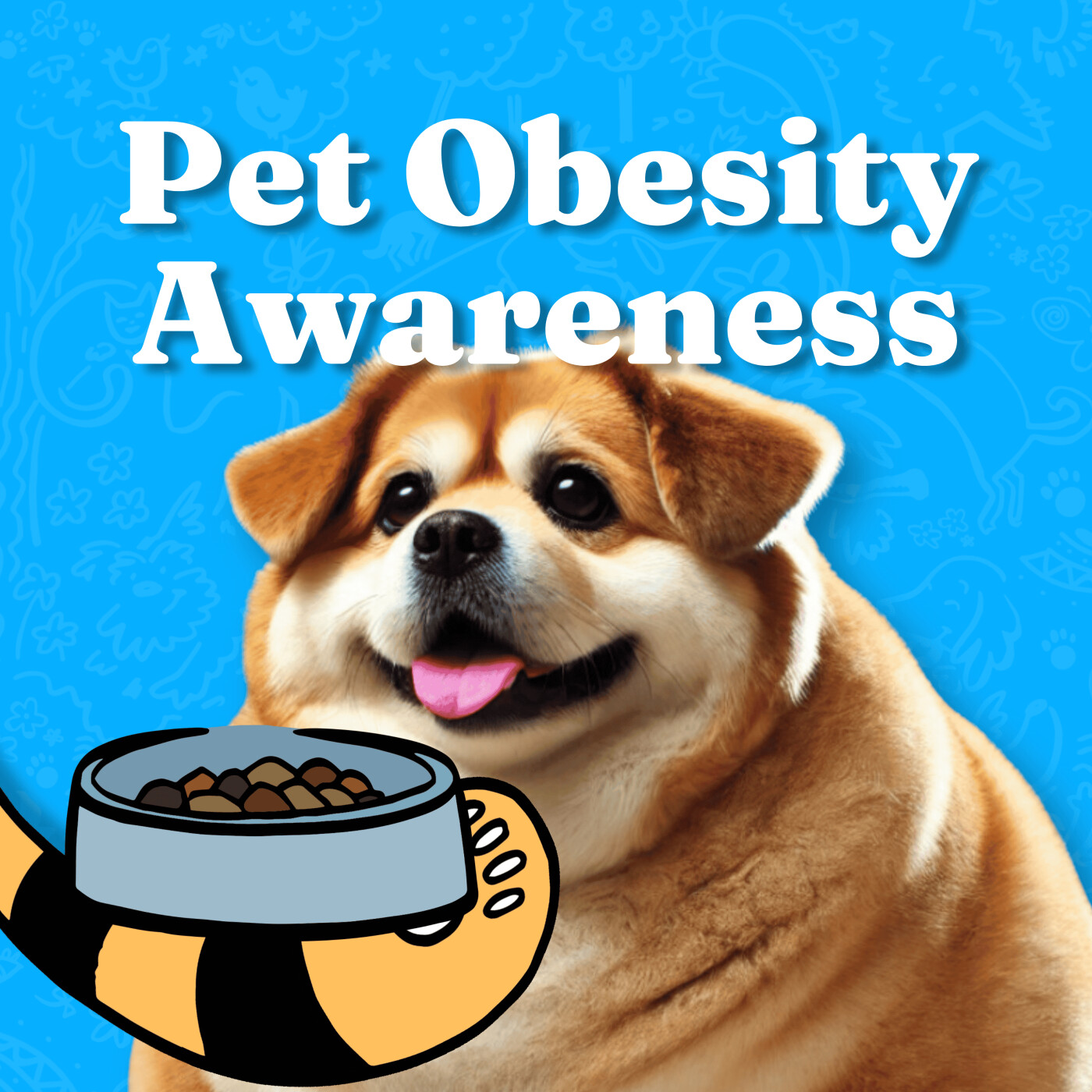 Pet Obesity Awareness and Care Tips episode artwork