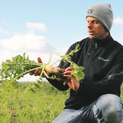 #51 Louis Perusse accompagne 80 fermes vers l’agriculture de conservation au Québec cover
