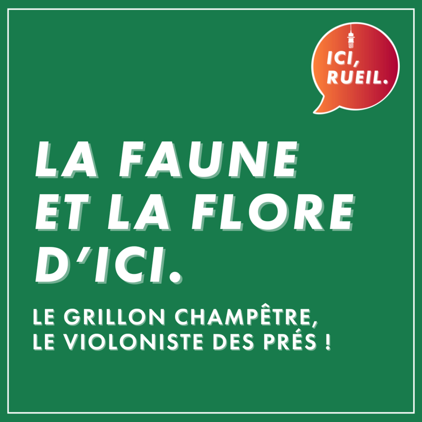 La Faune et la Flore d'Ici : Le grillon champêtre, le violoniste des prés ! episode artwork