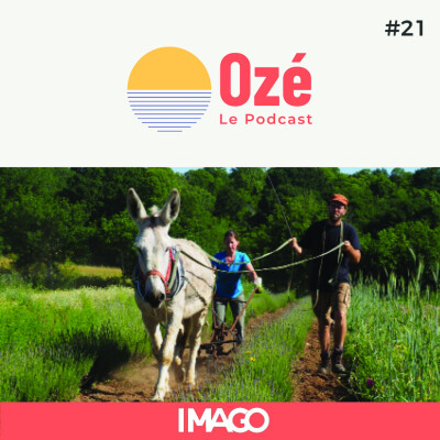 Épisode 21 - Vincent et le retour à la terre cover