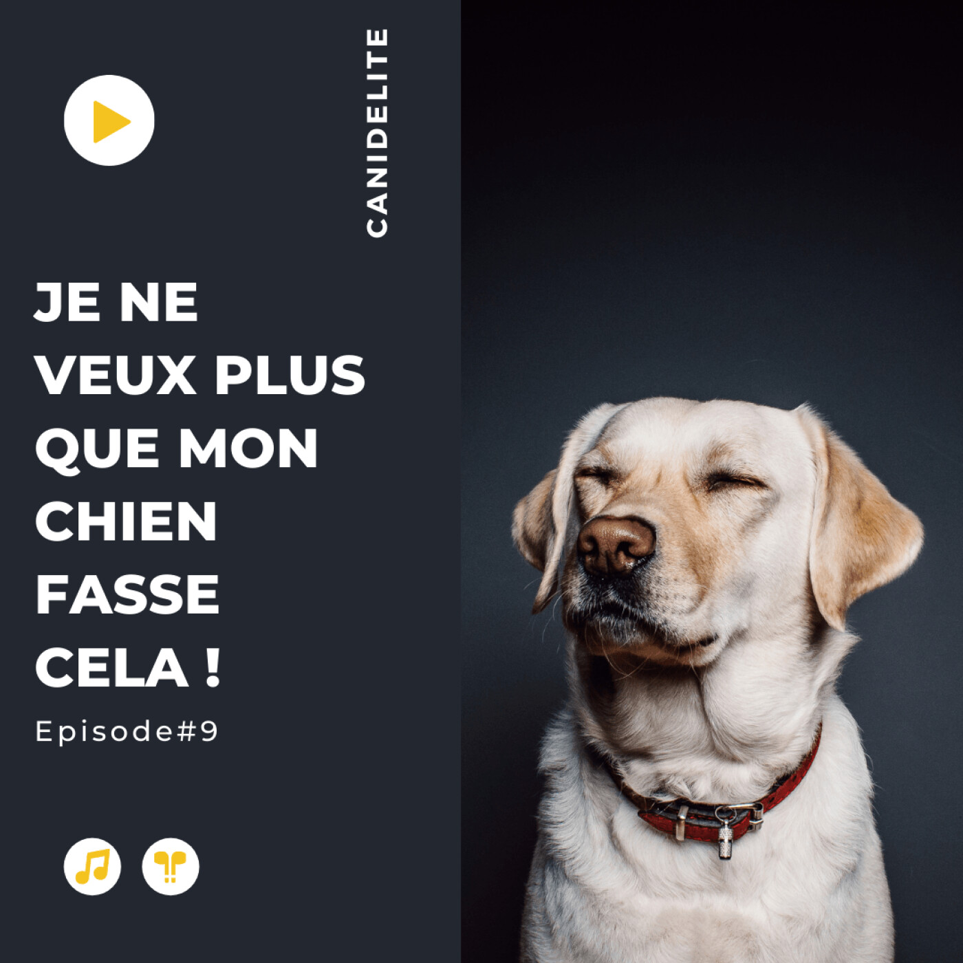 Episode #9 : "Je ne veux plus que mon chien fasse cela !"