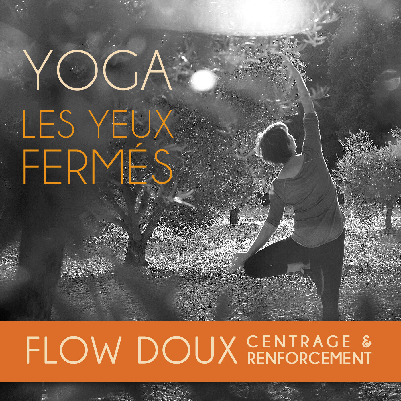 E56 Yoga : FLOW DOUX centrage et renforcement episode artwork
