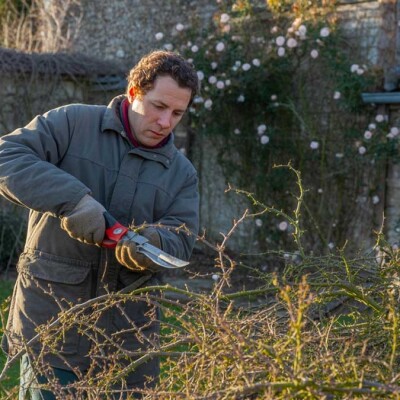 Jardin envahi ? Alain Delavie vous aide à lutter contre ronces et liserons ! cover