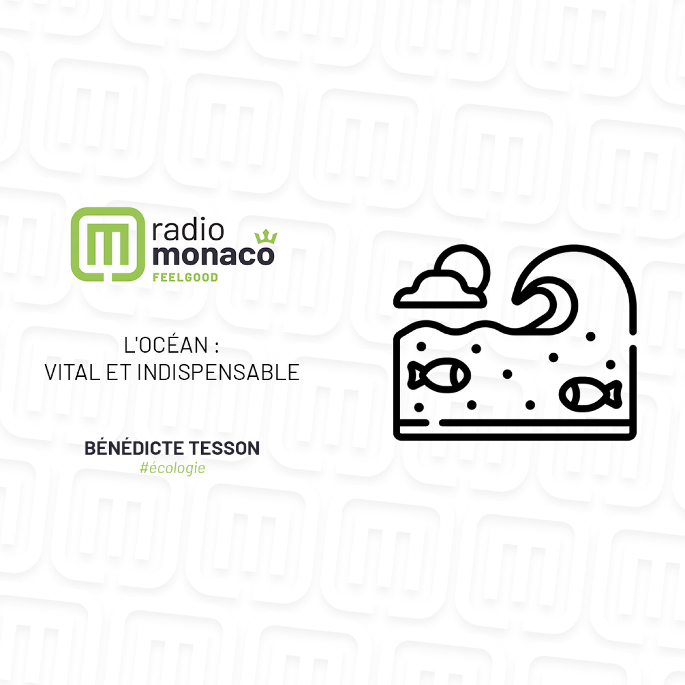 L'océan : vital et indispensable episode artwork