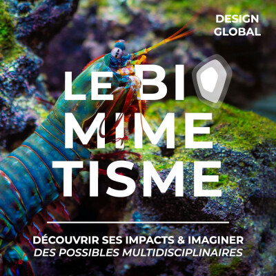 Le Biomimétisme, Découvrir ses impacts & imaginer des possibles multidisciplinaires cover