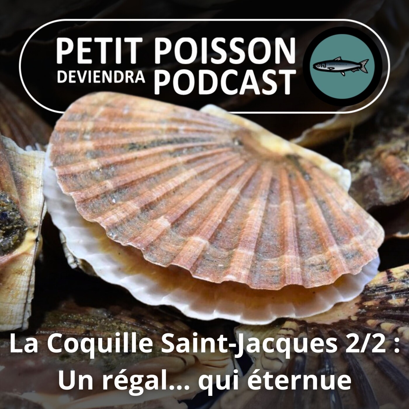 Petit Poisson deviendra Podcast