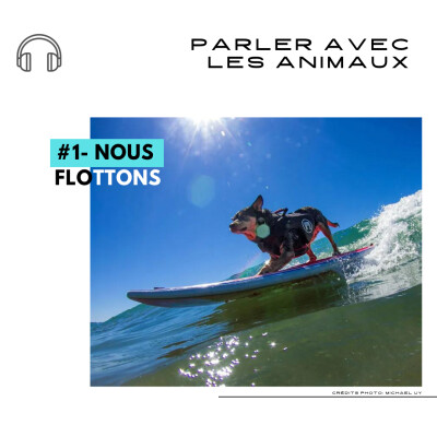 #1-Nous Flottons - Parler avec les animaux cover